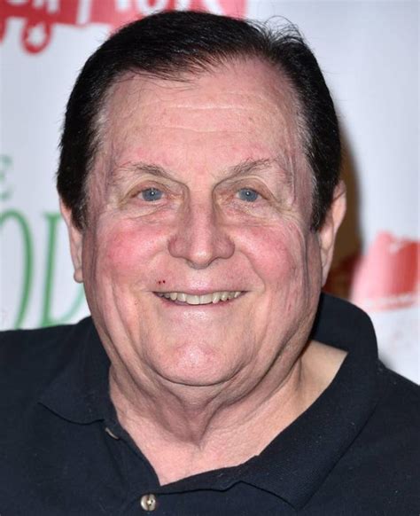 Robin Actor Burt Ward Says His Penis Was Too Big For TV